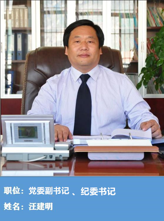 党委副书记纪委书记汪建明